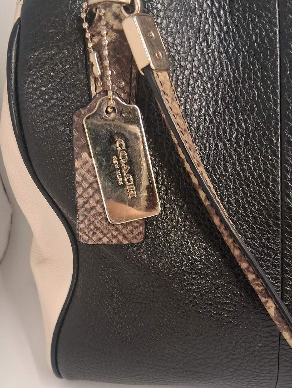 Coach Black & Cream Pebbled Leather Crossbody with Snake-Print Trim - Picture 3 of 10